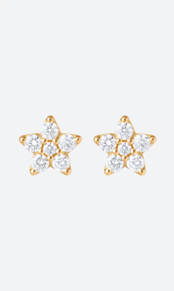 Découvrez dans la collection Shooting Stars les Boucles d'oreilles en or jaune et diamants petit modèle. Dumas Joaillier détaillant officiel à Avignon.